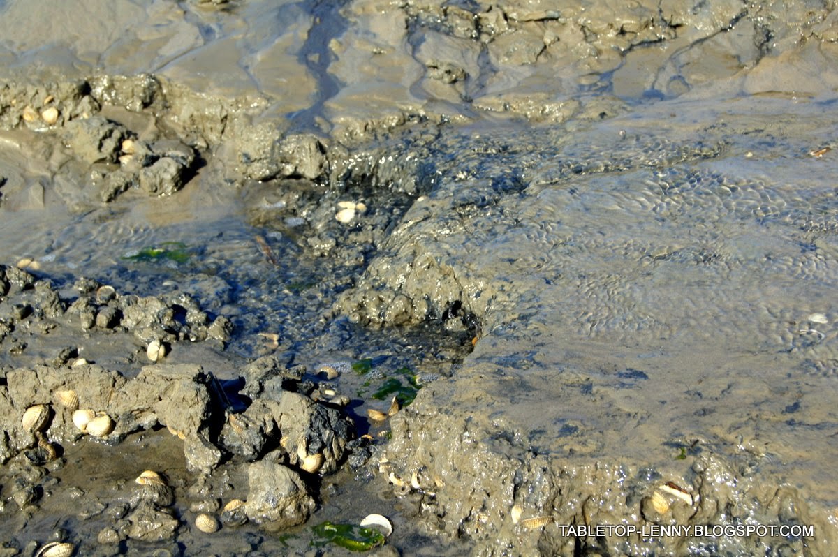 Vienna Day 2 Palaces Miss Vacation