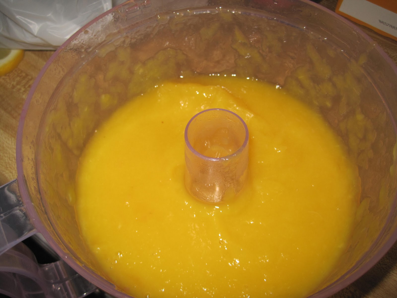 The Misadventures of Being a Southern "Lady" fruit leather and fruit chips