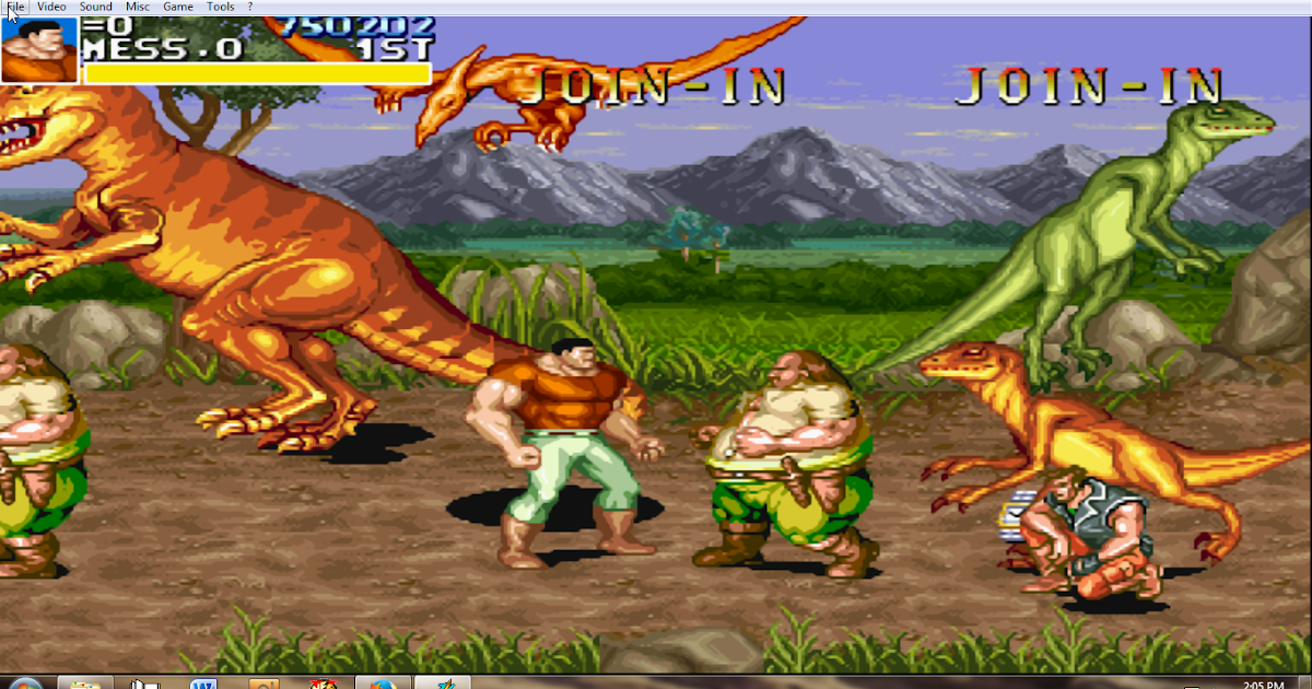 Emulator