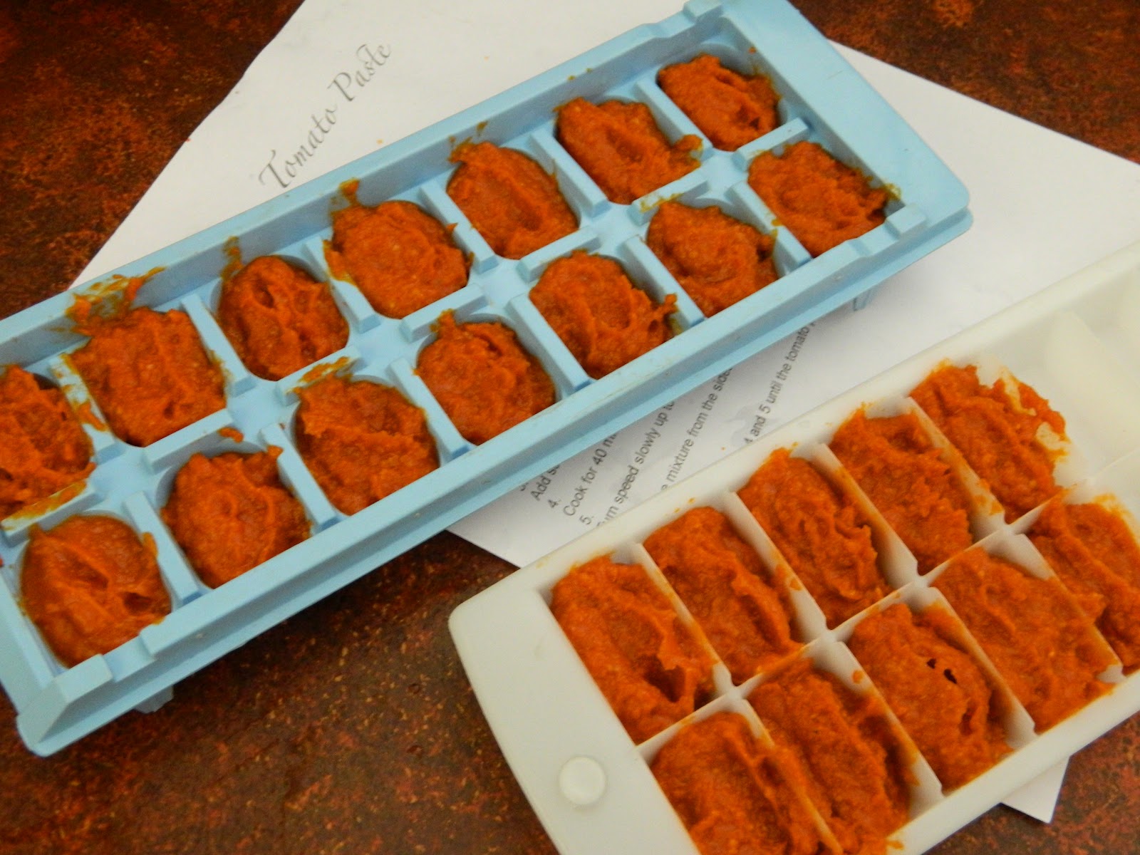 Dashes of Love Thermomix Tomato Paste