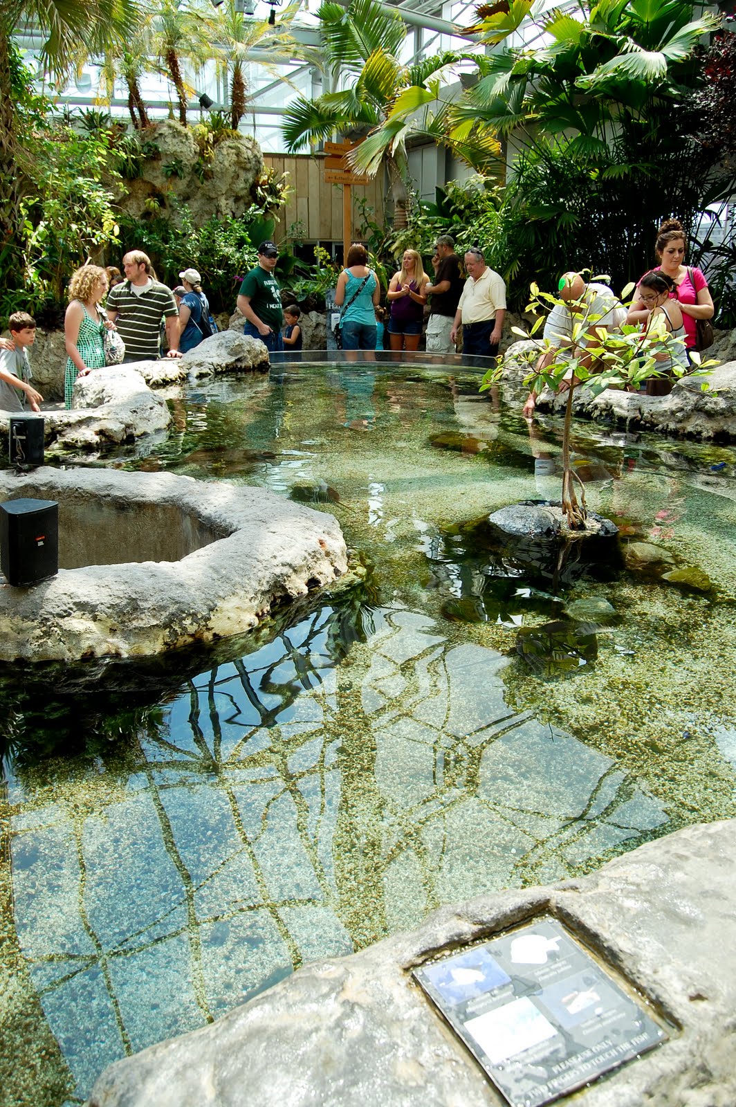 ZooZooReview Tennessee Aquarium Chattanooga, TN