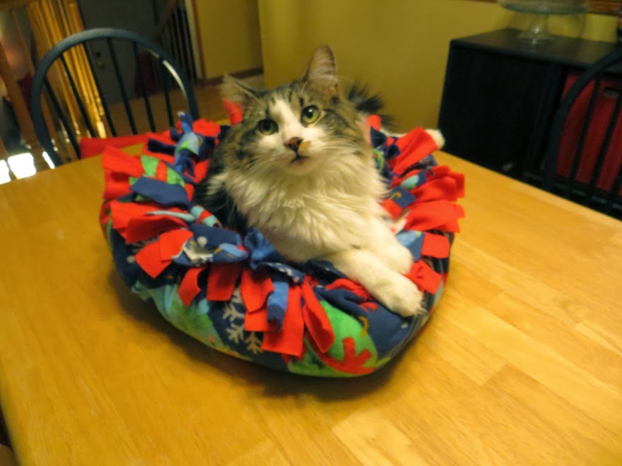 As the World Purrs How to make a Fleece Cat Bed