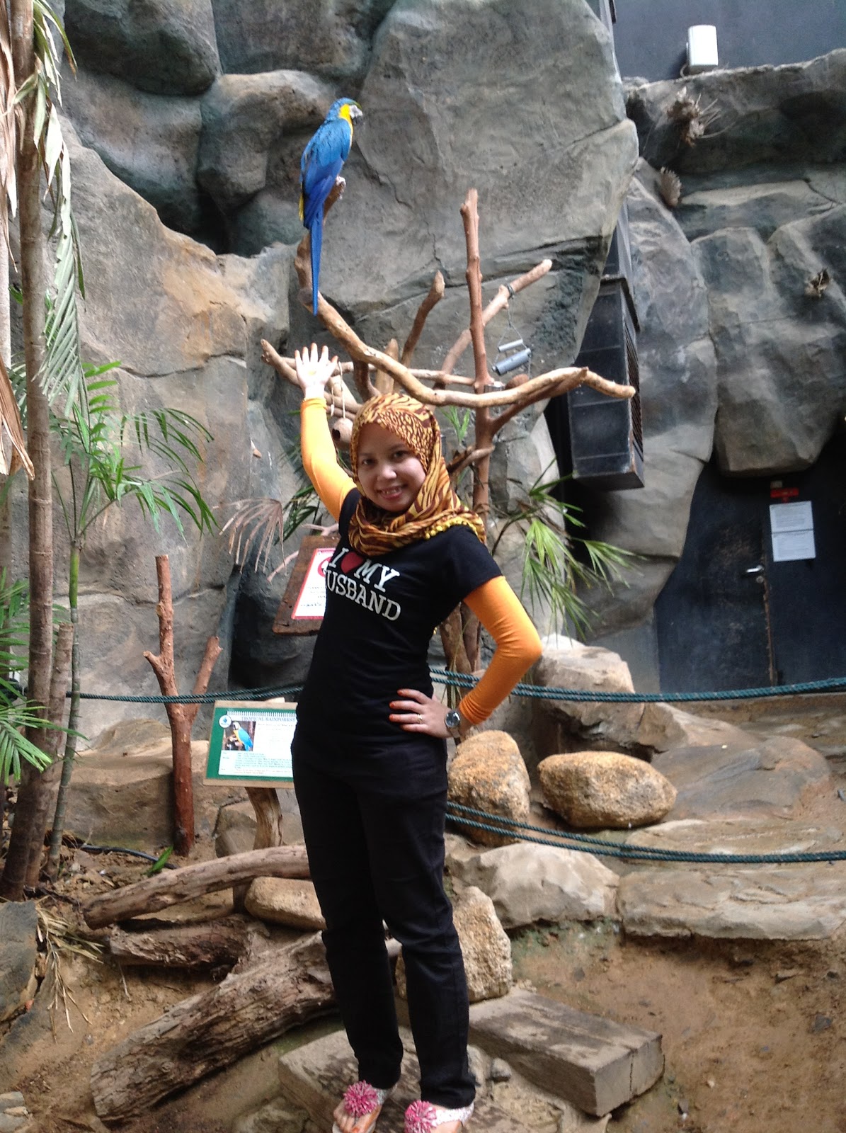 He asked, She said YES! Review Bulan Madu di Awan Biru )