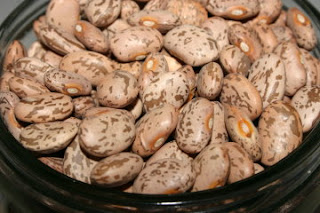 dry pinto beans