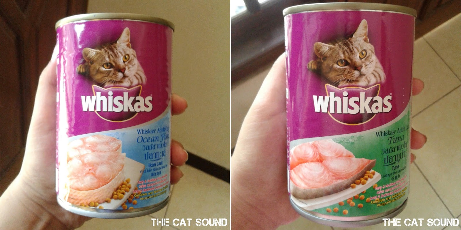 wet food kucing whiskas