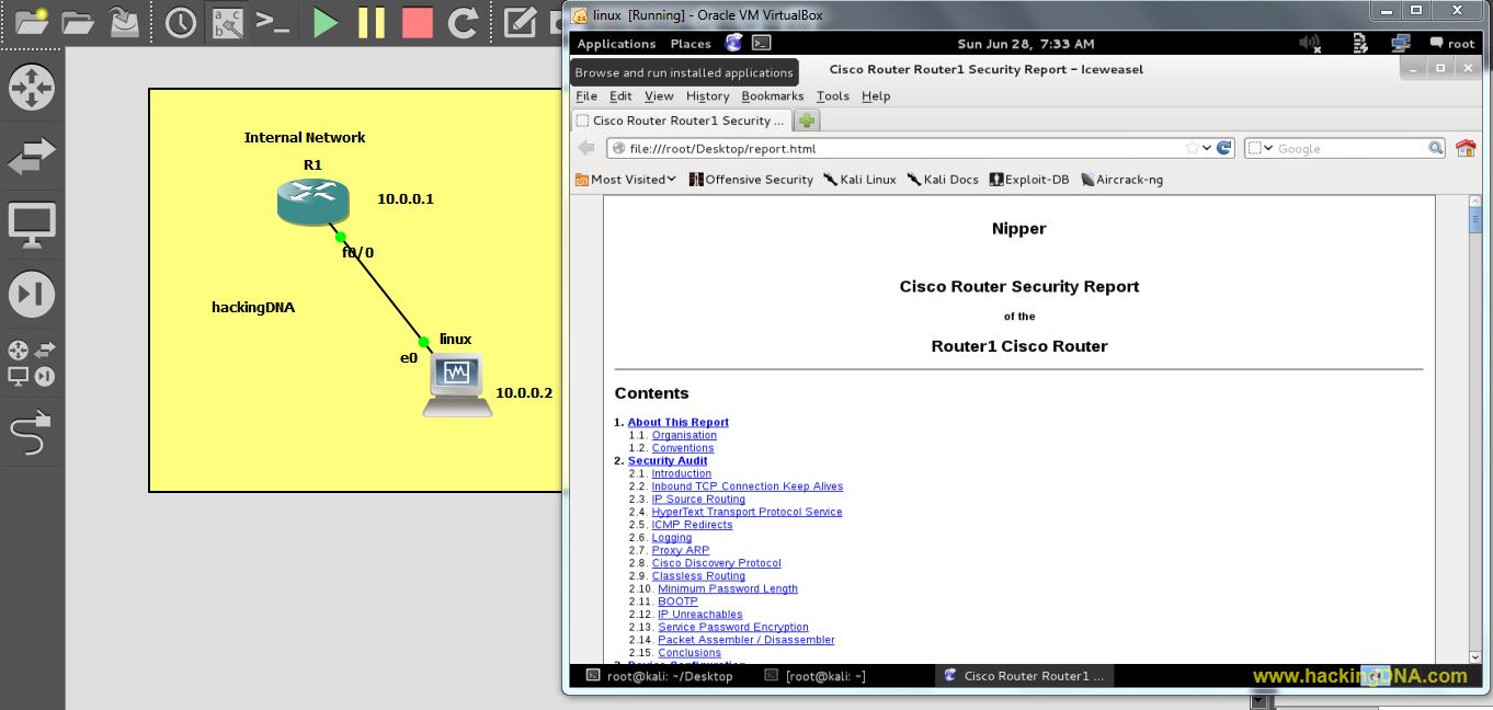 HackingDNA NIPPERSecurity Auditing Tool