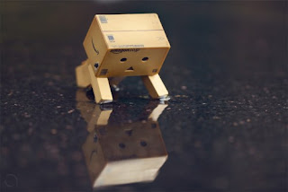 Danbo Cardboard on Akihabara Princess  Danbos