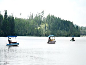 Danau Buatan Limbungan, Pekanbaru, Riau