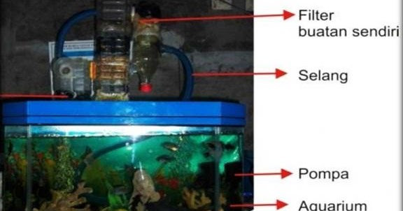 Tips Membuat Filter Aquarium Jernih Tanpa Perlu Lagi Menguras Air Tips Membuat Filter Aquarium Jernih Tanpa Perlu Lagi Menguras Air Infomasi Berita Unik Dan Pengetahuan