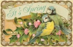 Welcome Spring ~ We've Waited All Winter For You