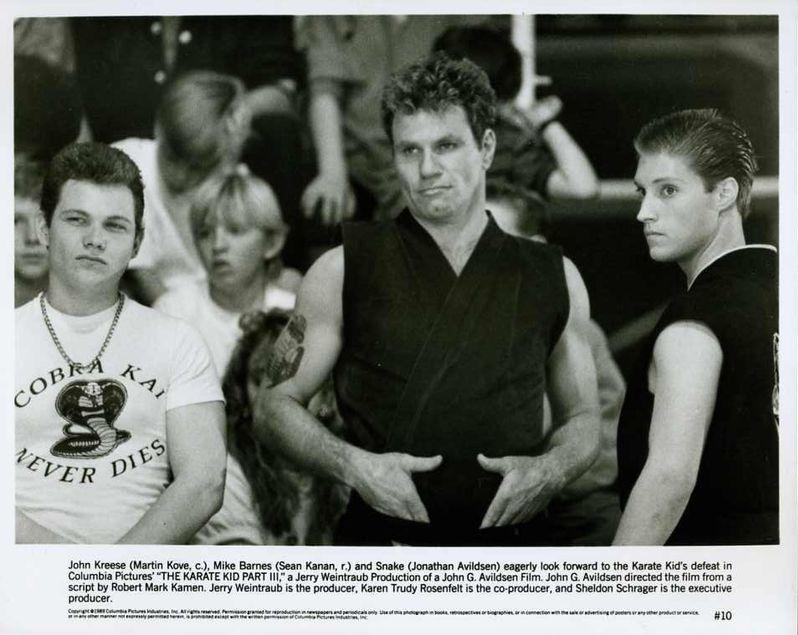 The Karate Kid Blog Snake and the boys