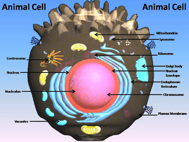Manash (Subhaditya Edusoft): Cell : Cells Are the Units of any Living