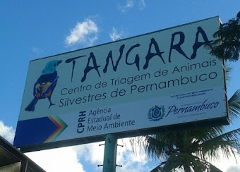 TANGARA