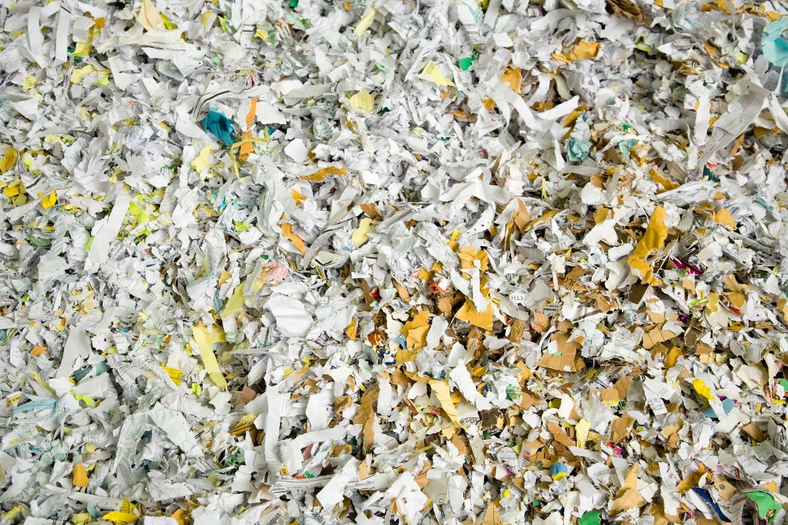 BGR Curbside Online Free Shred Event A Huge Succes