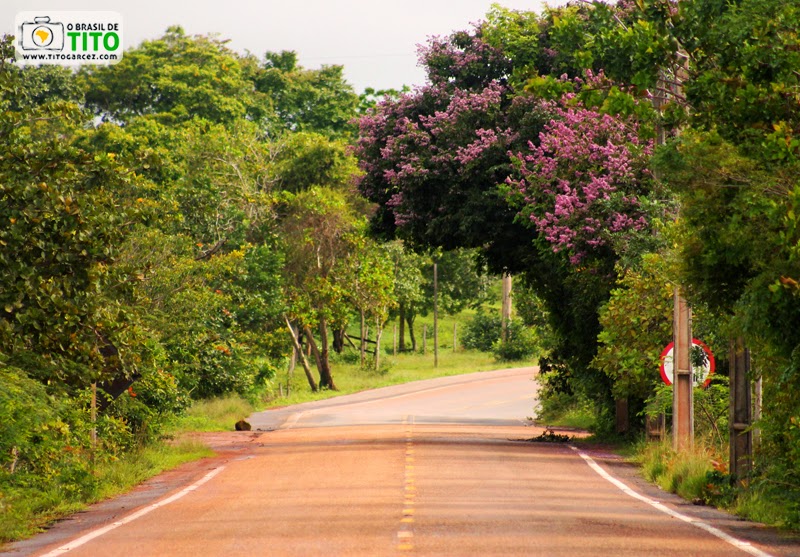 Rodovia do Curiaú (AP-070) na área da APA do Rio Curiaú, em Macapá, no Amapá - Por Tito Garcez Rodovia do Curiaú (AP-070) na área da APA do Rio Curiaú, em Macapá, no Amapá