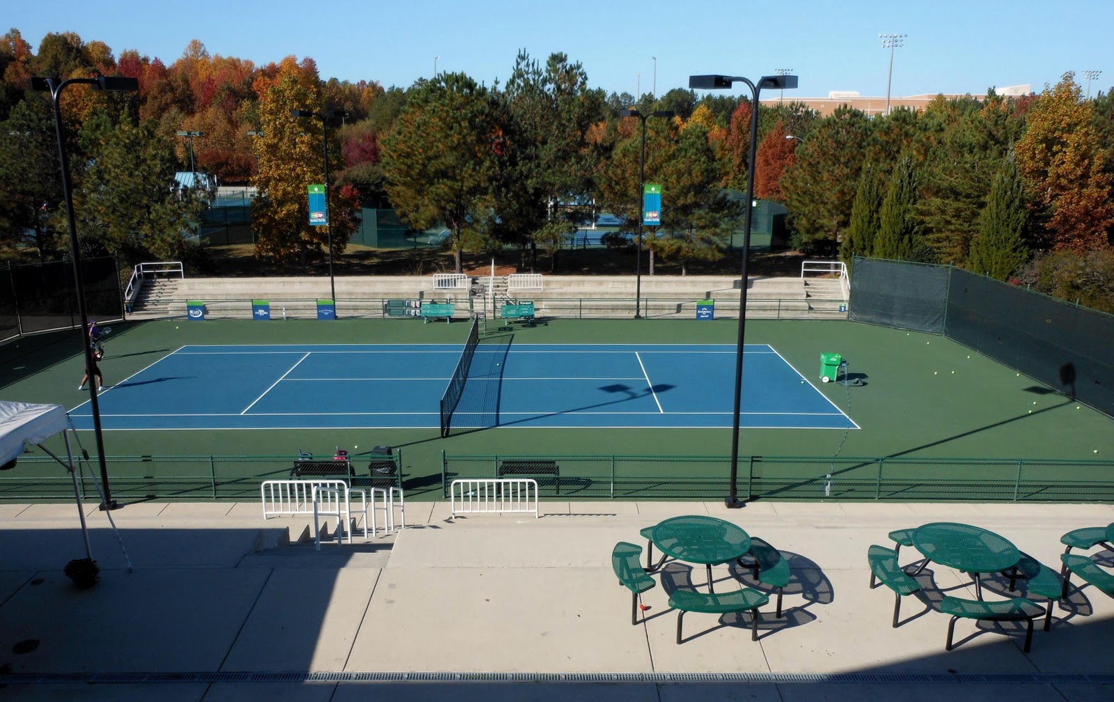 Southern Yankee Observer November 2011