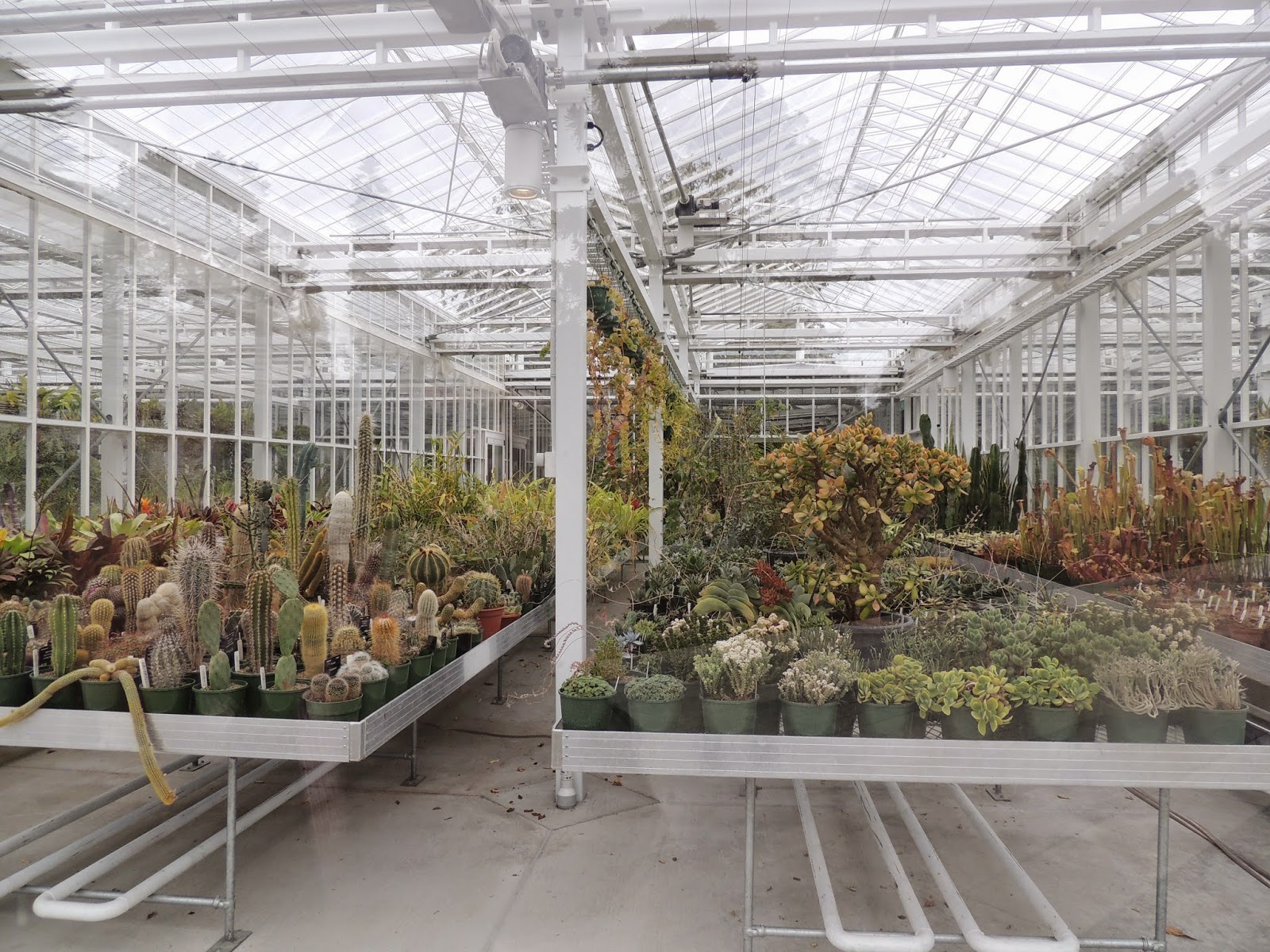 THE ROAD TAKEN Hagley Park + Christchurch Botanic Gardens