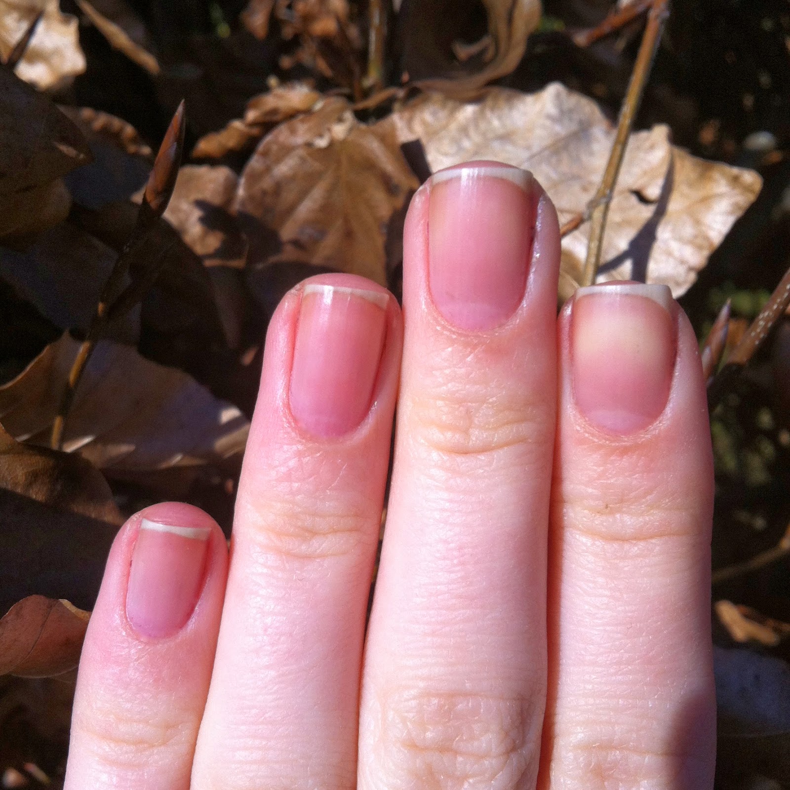 Nails Always Polished Nail Care Routine