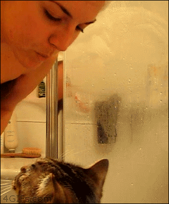 Animated gif of a cat reaching up with its paws to pull a girl's face down far enough so it can rub against her nose