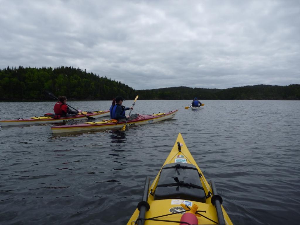 Newfoundland Sea Kayaking Cottle's Island, Bay of Exploits