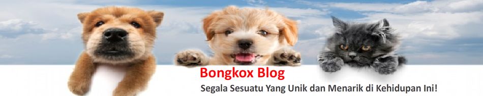 Bongkox | Berita IT Terbaru 2011, Artikel Teknologi dan Komputer Bahasa Indonesia, Info Gadget Baru