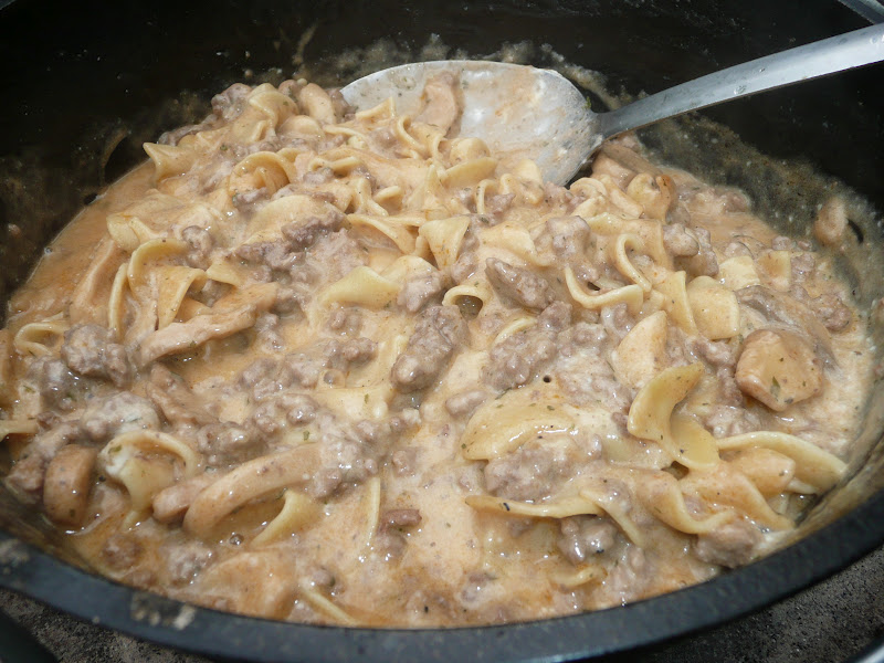 Everyday Dutch Oven One Pot Beef Stroganoff