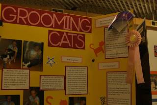 Grooming Cats board Grooming Cats board
