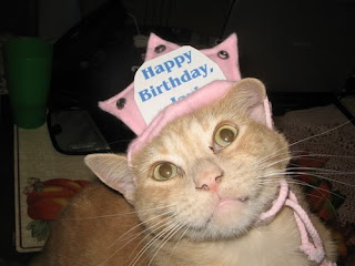Rage_the_Happy_Birthday_Cat.jpg