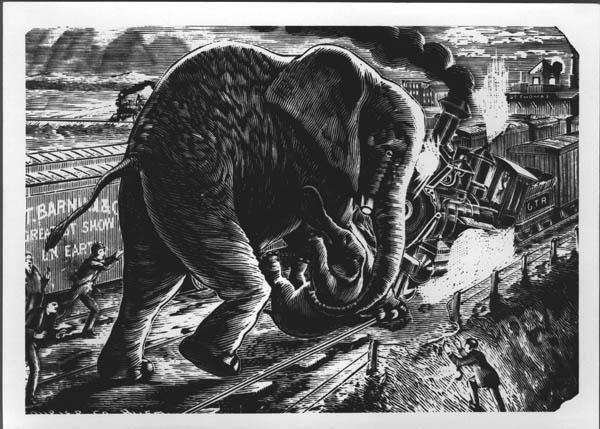 Jumbo skeleton rochester special elephant rbscp collections Tufts Family Genealogy: January 2013