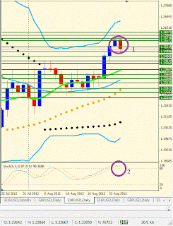 Analisis Sederhana Eur/Usd timeframe daily Agustus 2012 minggu ke 4 Analisis Sederhana Eur/Usd timeframe daily Agustus 2012 minggu ke 4