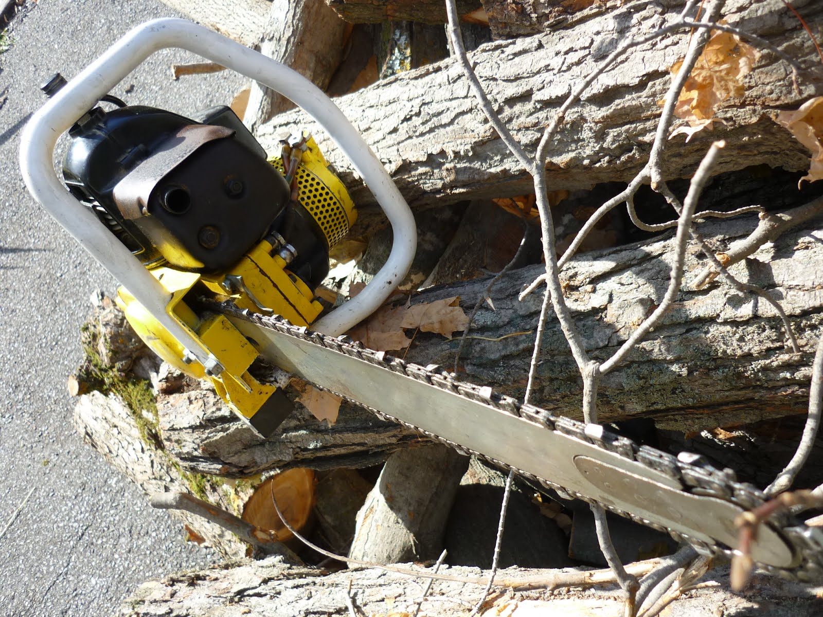 VINTAGE CHAINSAW COLLECTION PARTNER TS.