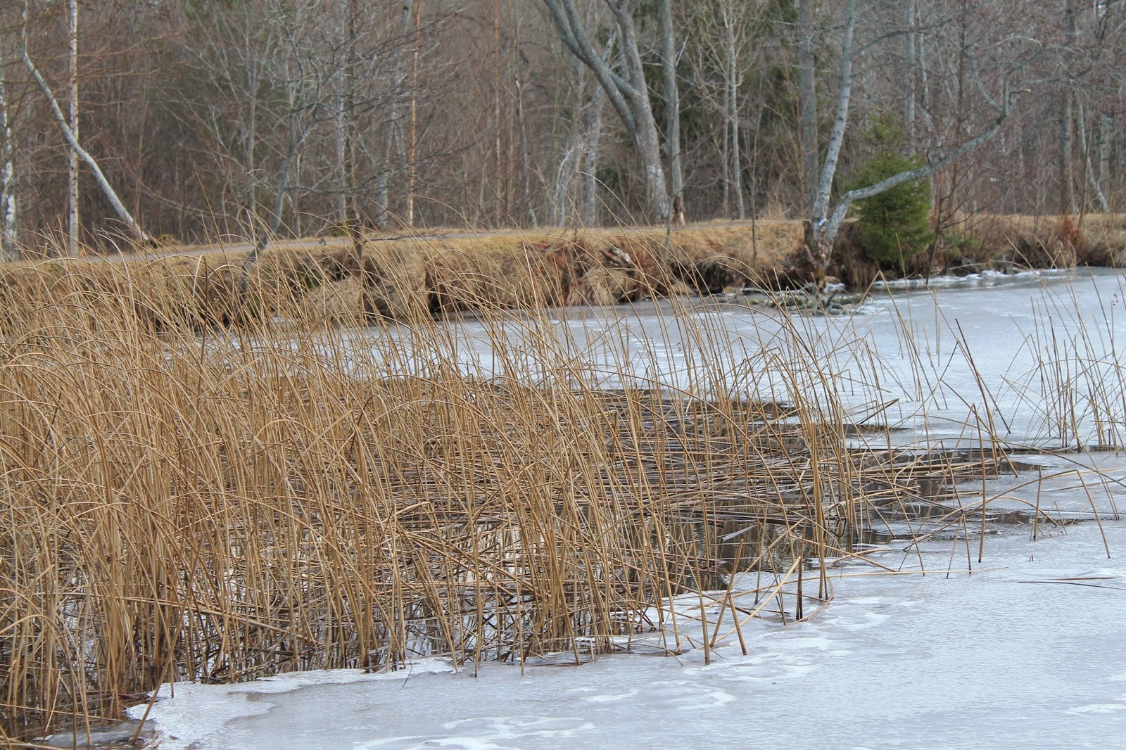 Nummer trettiofyra: februari 2014