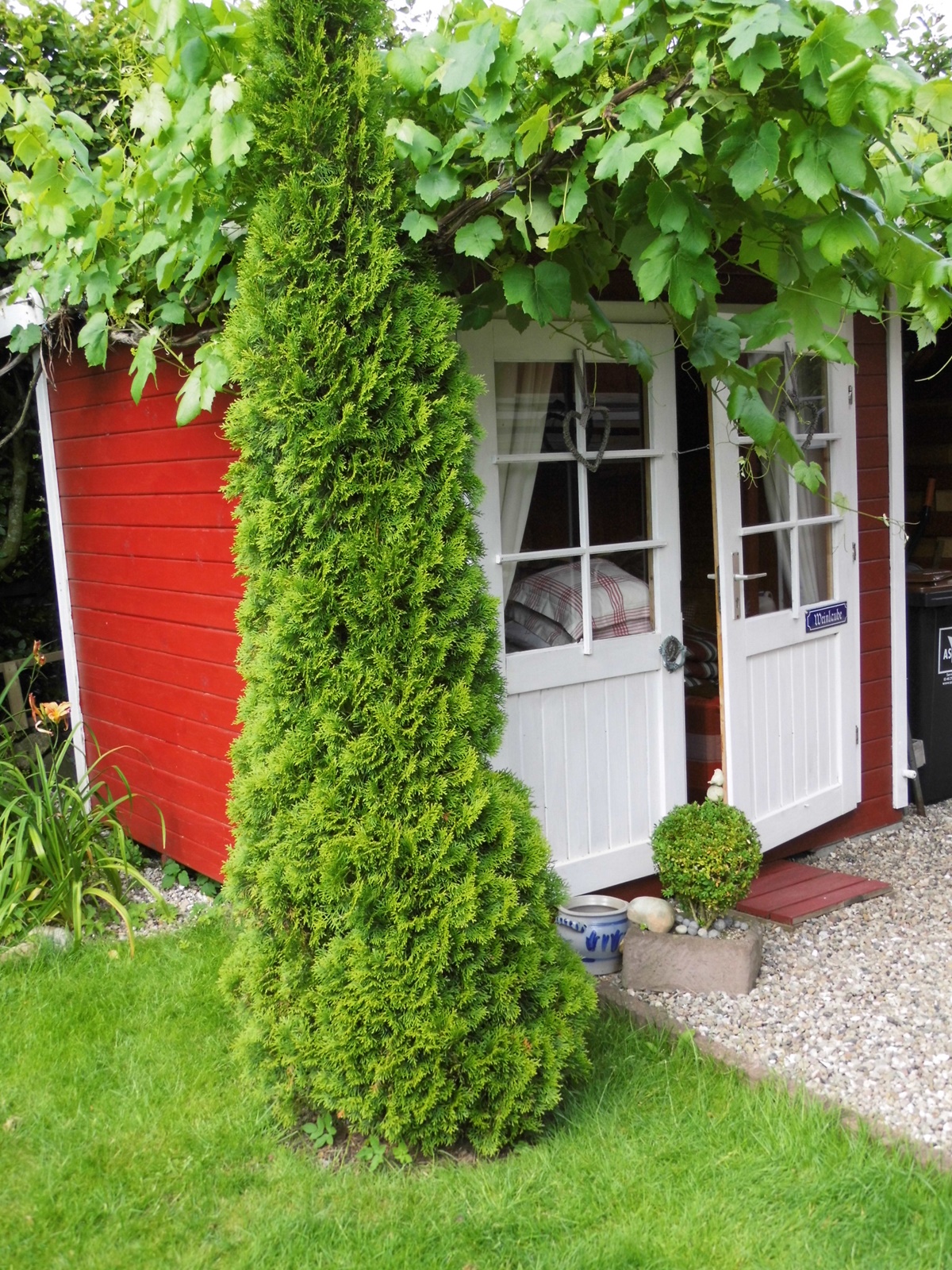 versponnenes: Gartendecke...