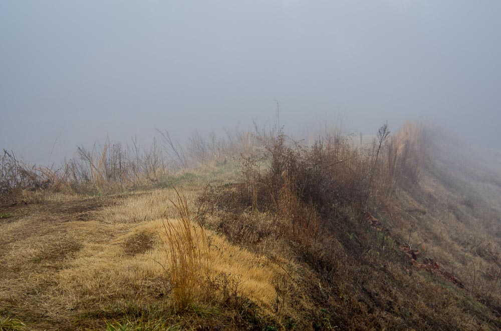 January 2013 Photography In Place