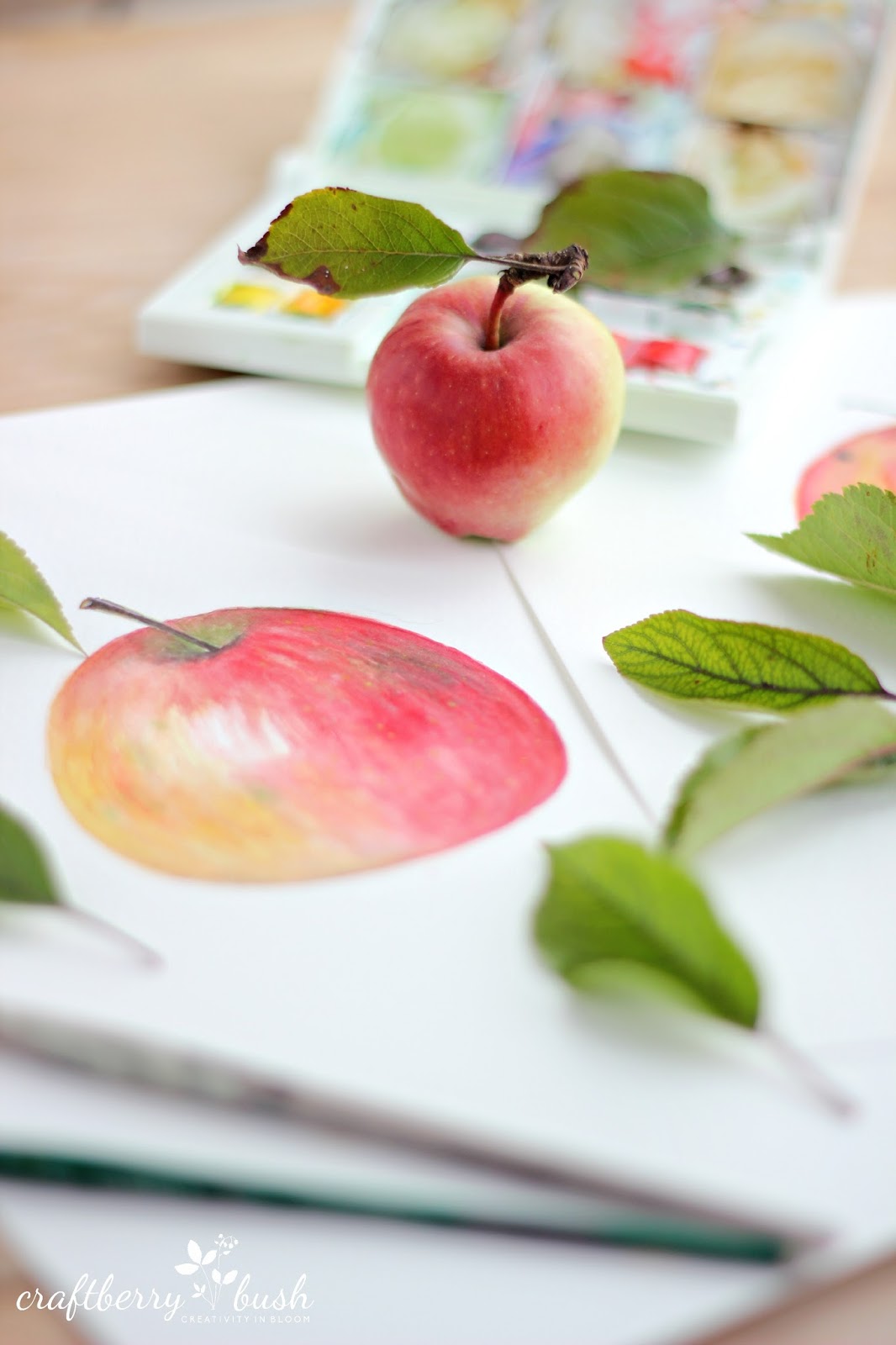 How to paint an apple with watercolor Craftberry Bush Bloglovin’
