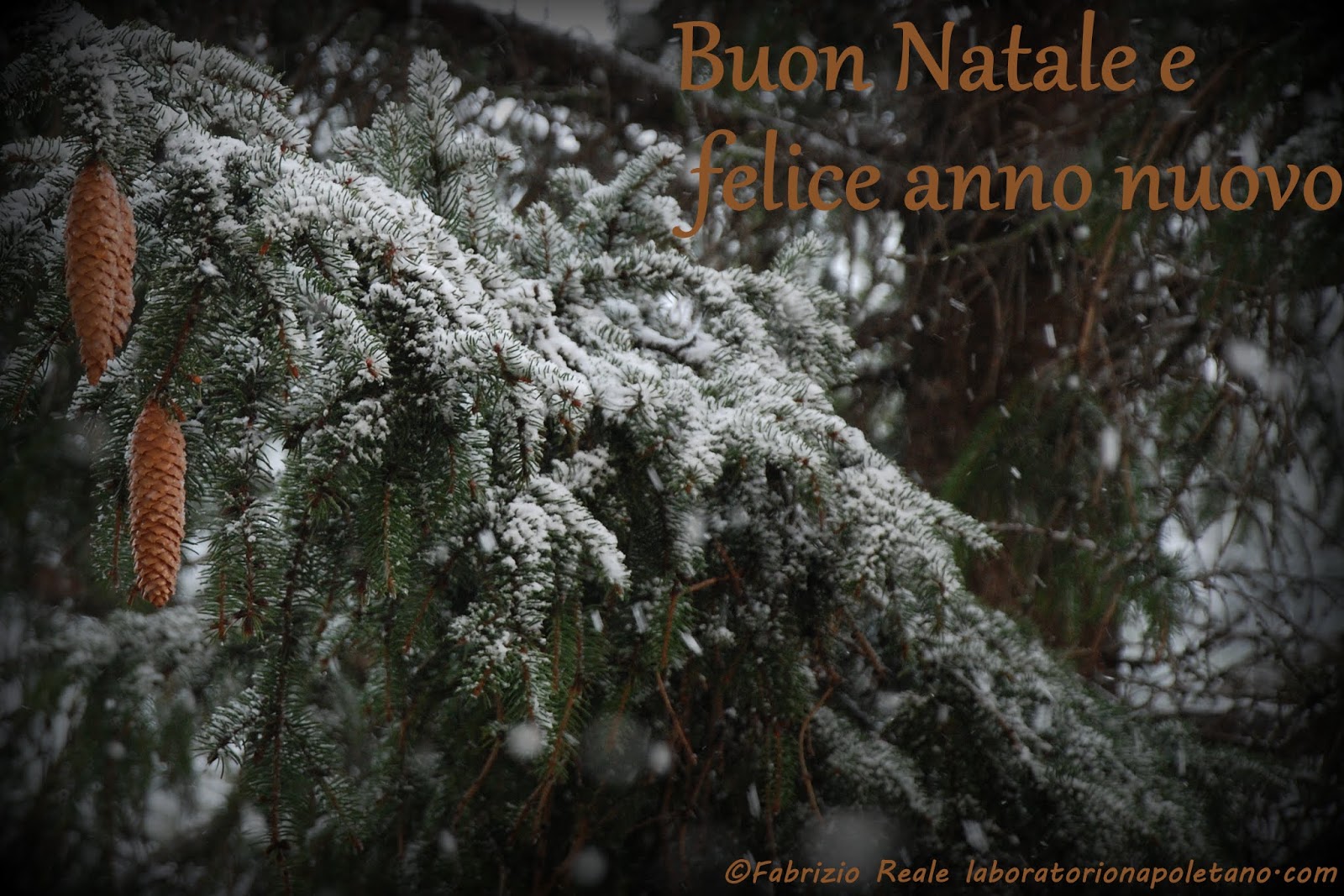 Biglietti Di Natale Via Mail.Fabrizio Reale Fotografie Biglietti Di Auguri Di Buon Natale E Felice Anno Nuovo 3