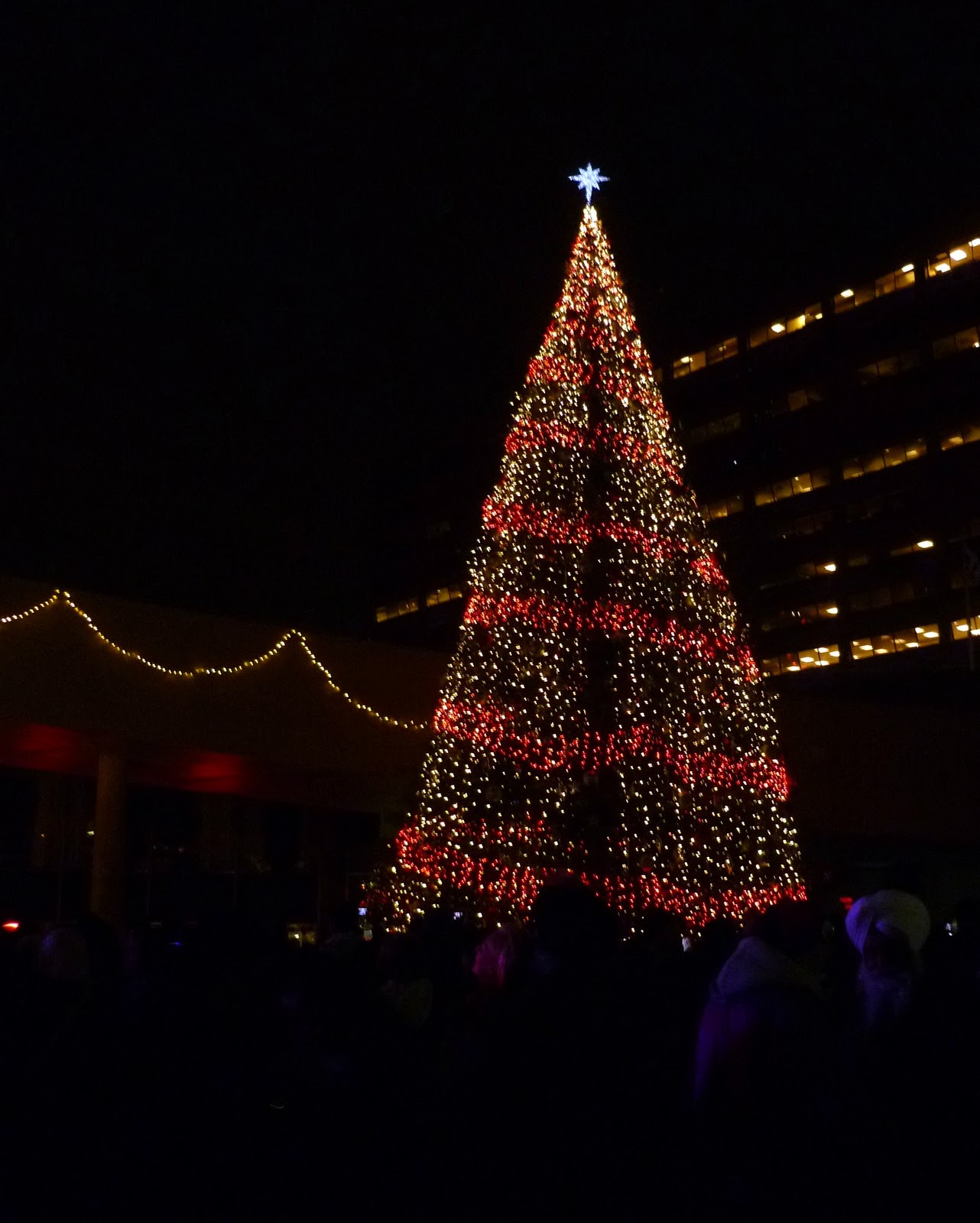 Sense and Simplicity Christmas in Toronto Cavalcade of Lights and