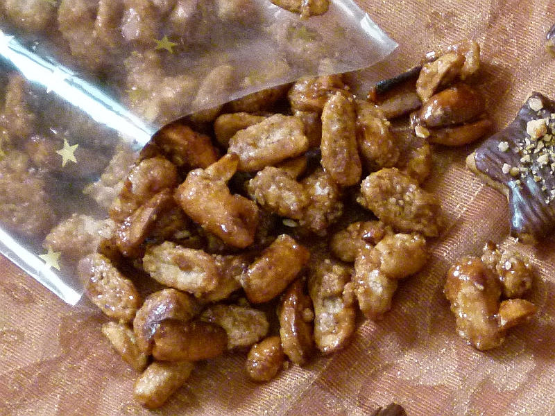 Passion Pictures Fotostudios Nici Rockt Wieder Die Cranger Kirmes