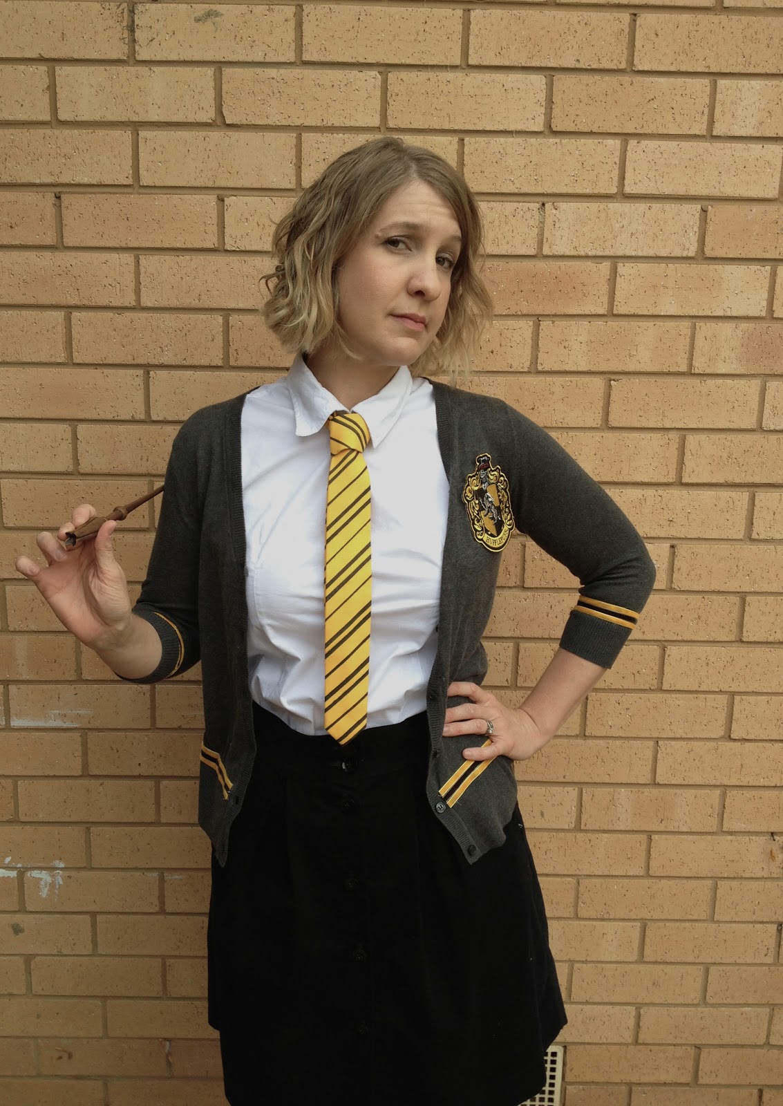 I went looking for a Hufflepuff tie online ($49 with postage? hells no)