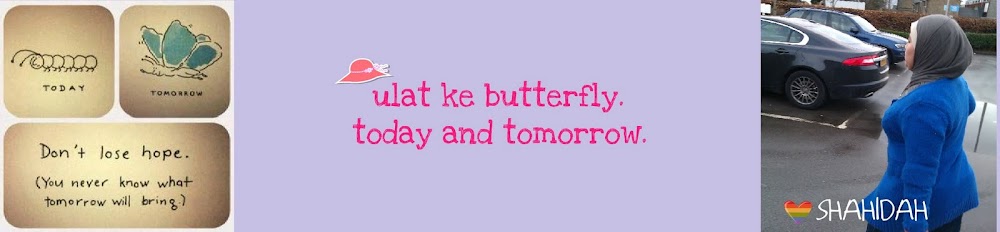 ulatkebutterfly