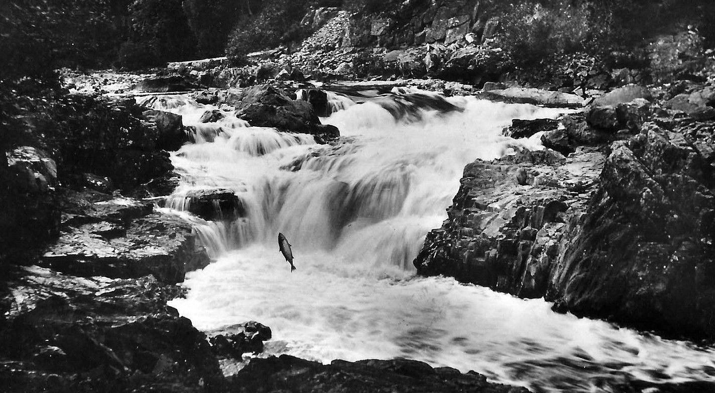 Tour Scotland Photographs Old Photograph Salmon Leaping Falls Of