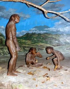 Diorama Manusia Purba di Sangiran Diorama Manusia Purba di Sangiran