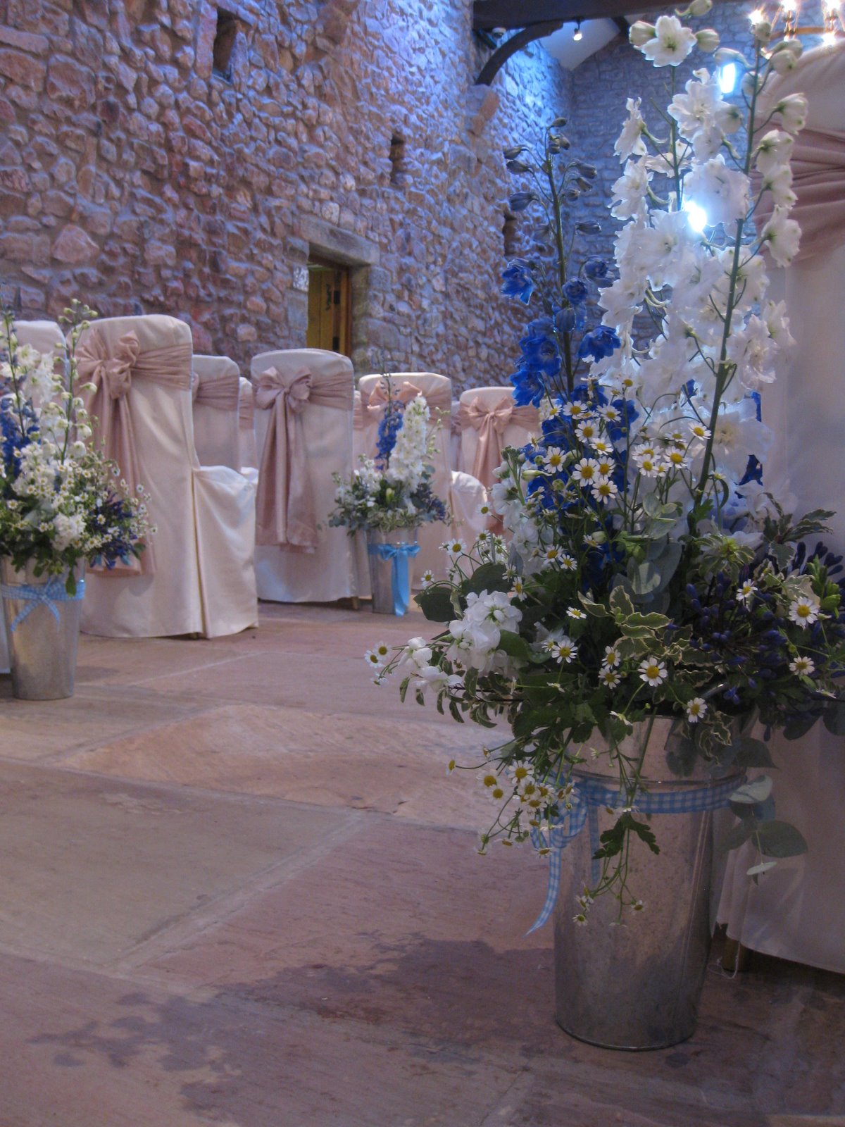 Laura Coleman Flowers Daisies in December, well, August actually