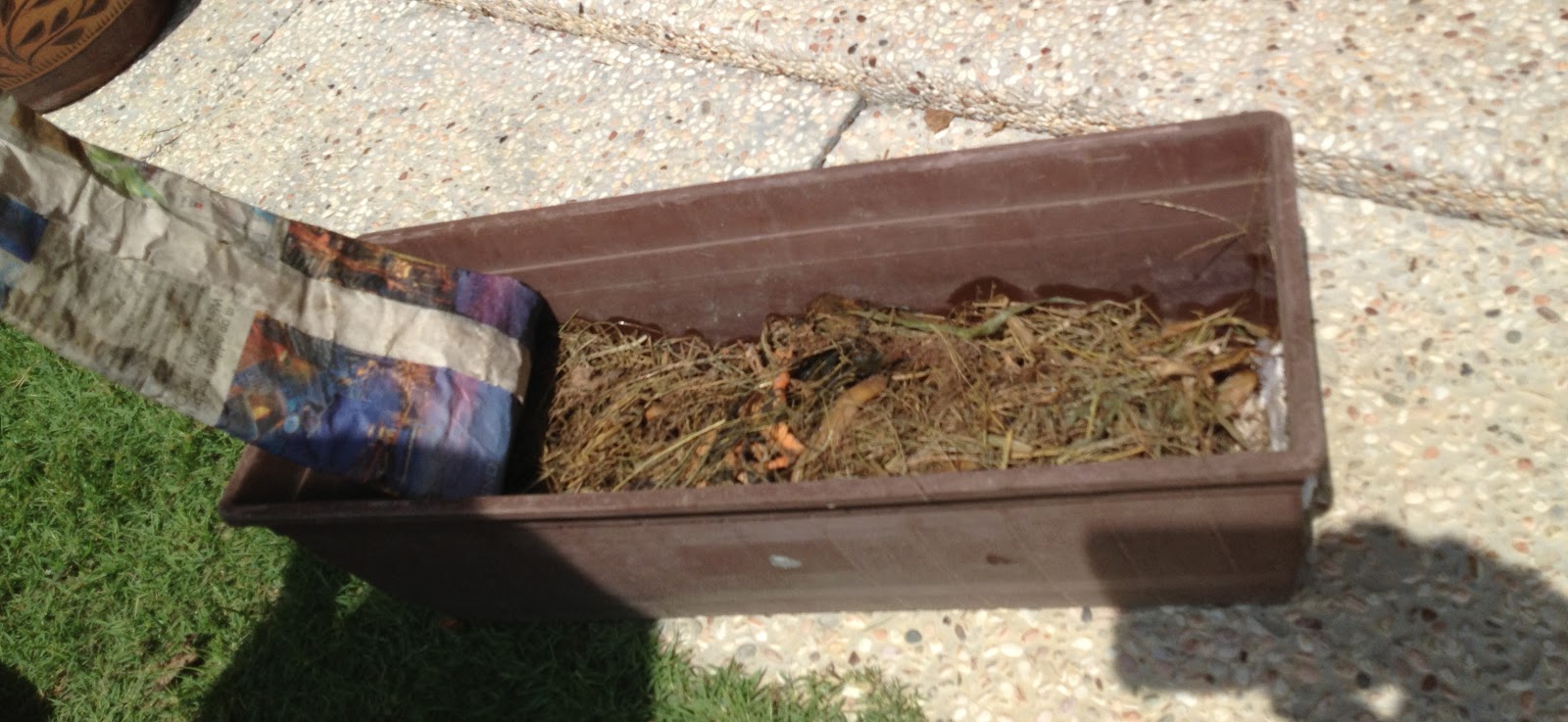 My Home My Garden My Rules starting small in a