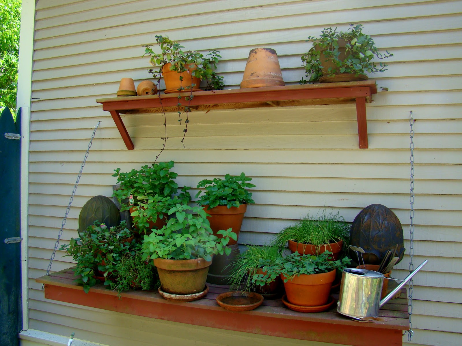 Garden Girl: Garden2Blog - The City Garden Home: Container Inspiration