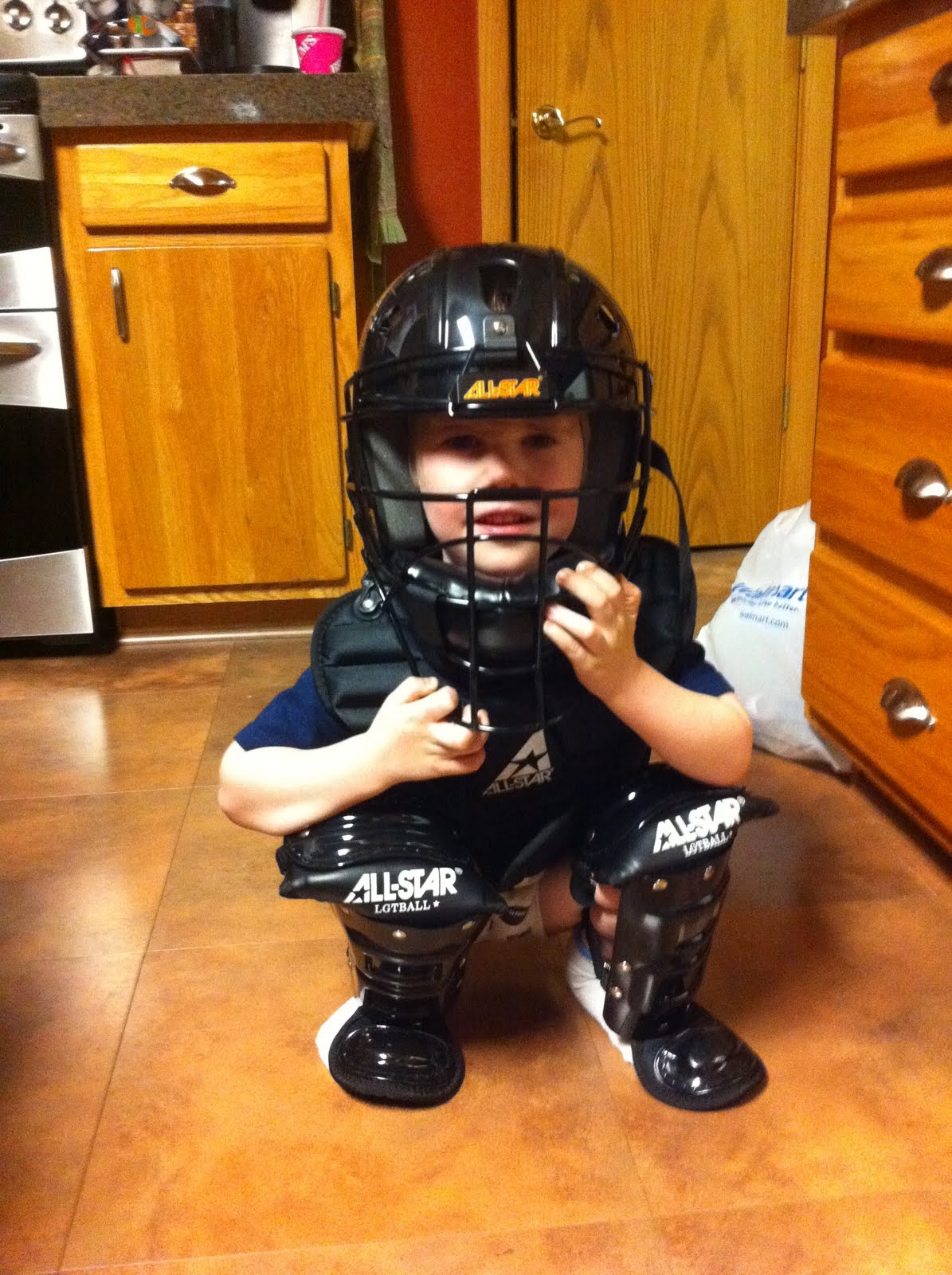 Robertson Reflections Cubs TBall