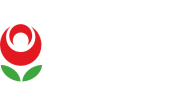 İslam Akaid