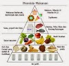 MEMILIH MAKANAN SEHAT