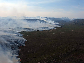 5 focos de incêndio simultâneos no Parque Nacional da Chapada Diamantina 5 focos de incêndio simultâneos no Parque Nacional da Chapada Diamantina