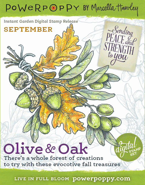 http://powerpoppy.com/products/olive-and-oak